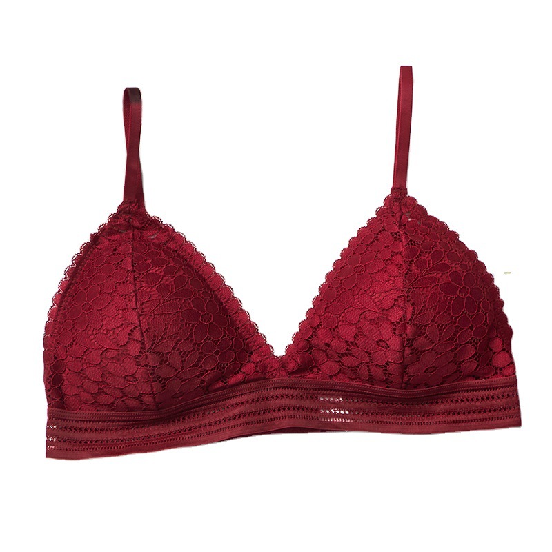 Sujetador de mujer 2026, nuevo - Sheer Bra Lace reseña y precio