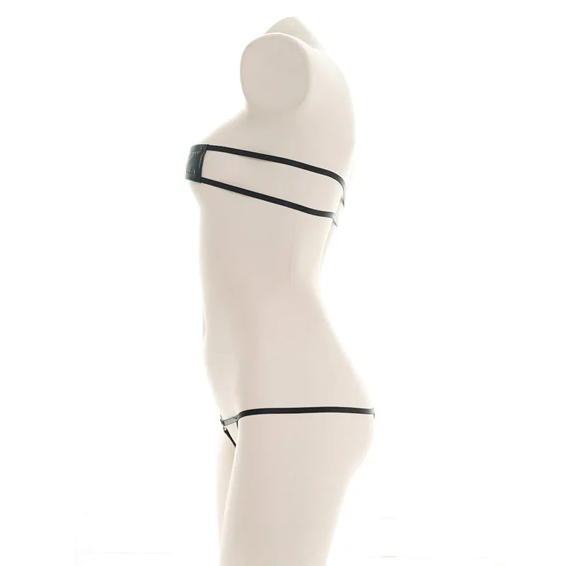 Conjunto de Bikini Transparent - Sheer Mesh Bra reseña y precio