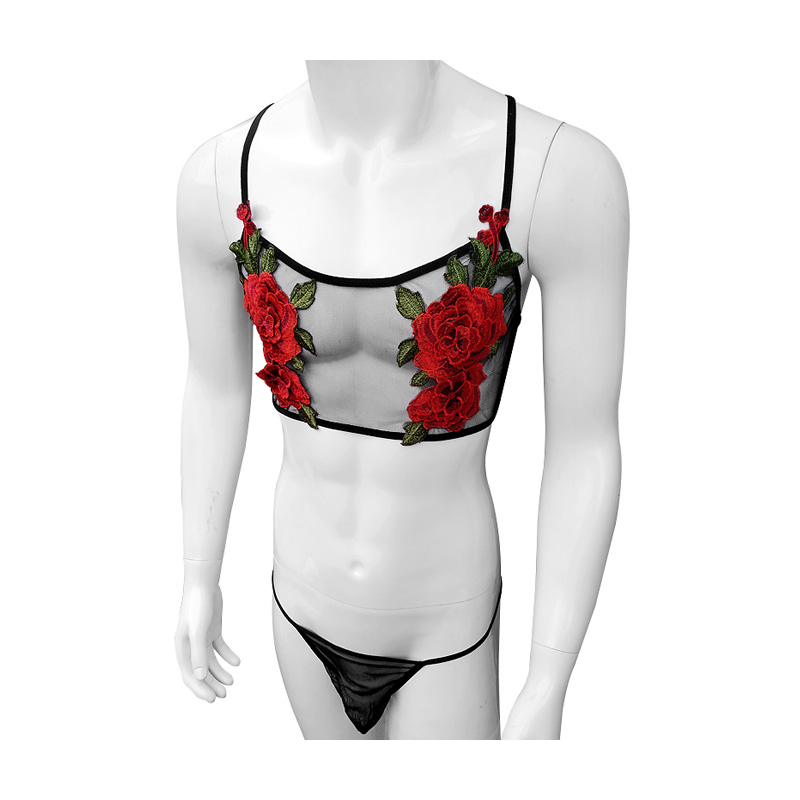 Conjunto de lencería de encaje - Sheer Mesh Bra reseña y precio