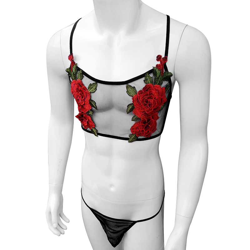 Conjunto de lencería de encaje - Sheer Mesh Bra reseña y precio