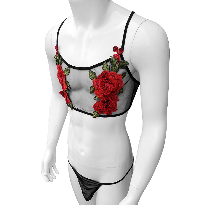 Conjunto de lencería de encaje - Sheer Mesh Bra reseña y precio